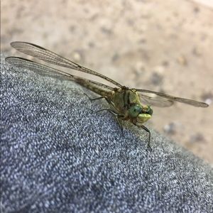 Meet your Posher, Nate